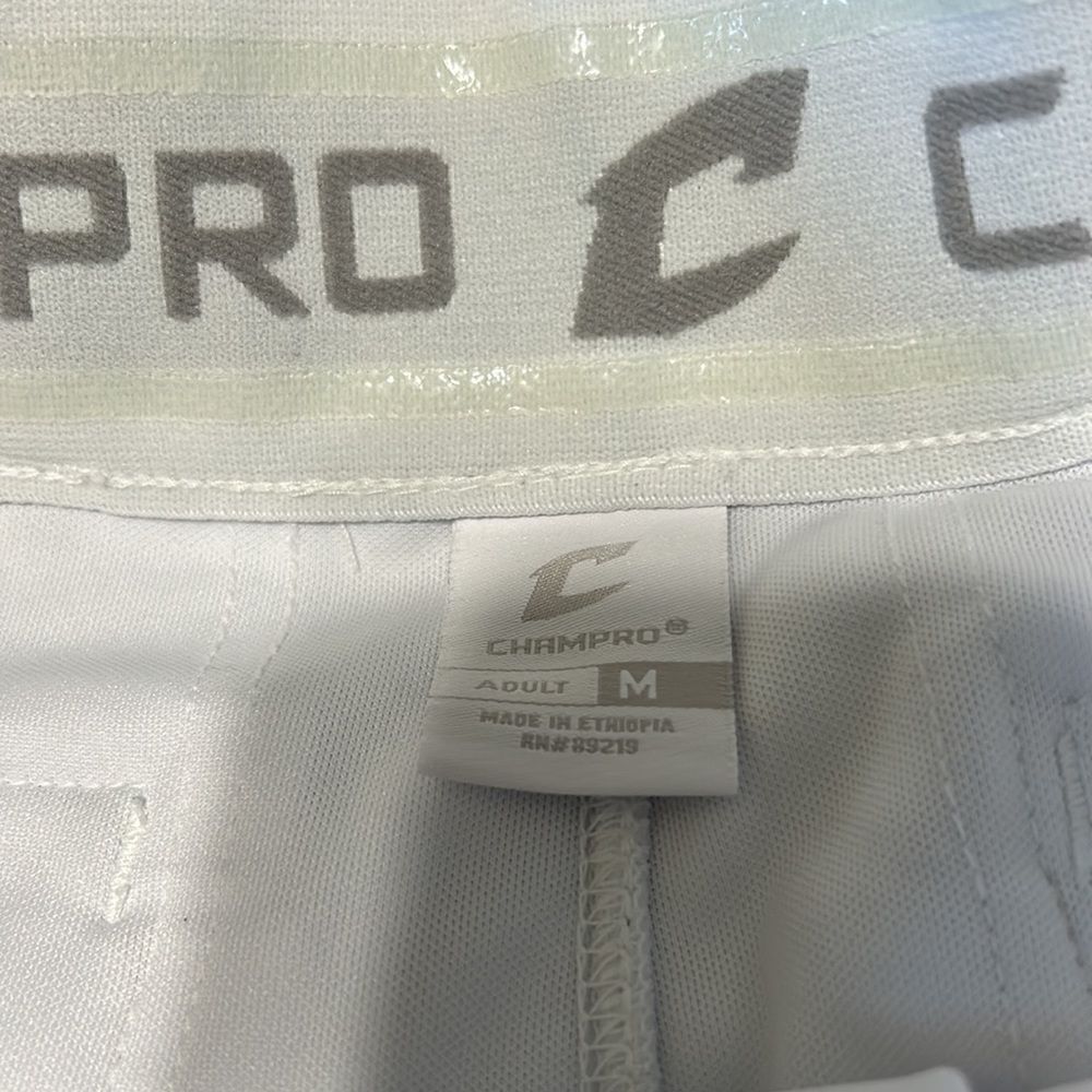ChampPro Baseball Pants - Picture 8 of 9